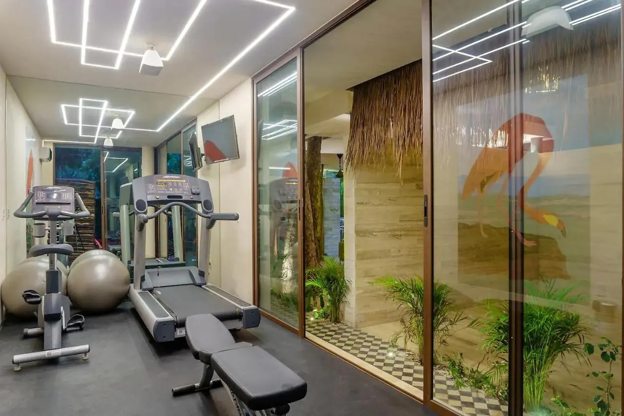 Casa Libre - Contemporary Designer 3Br Condo By Staypodio 304 图卢姆 公寓