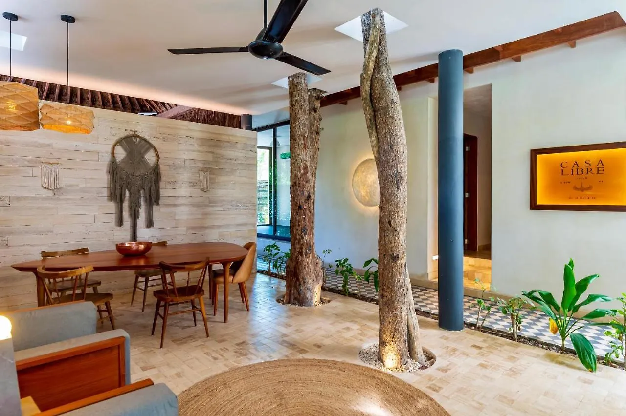 公寓 Casa Libre - Contemporary Designer 3Br Condo By Staypodio 304 图卢姆
